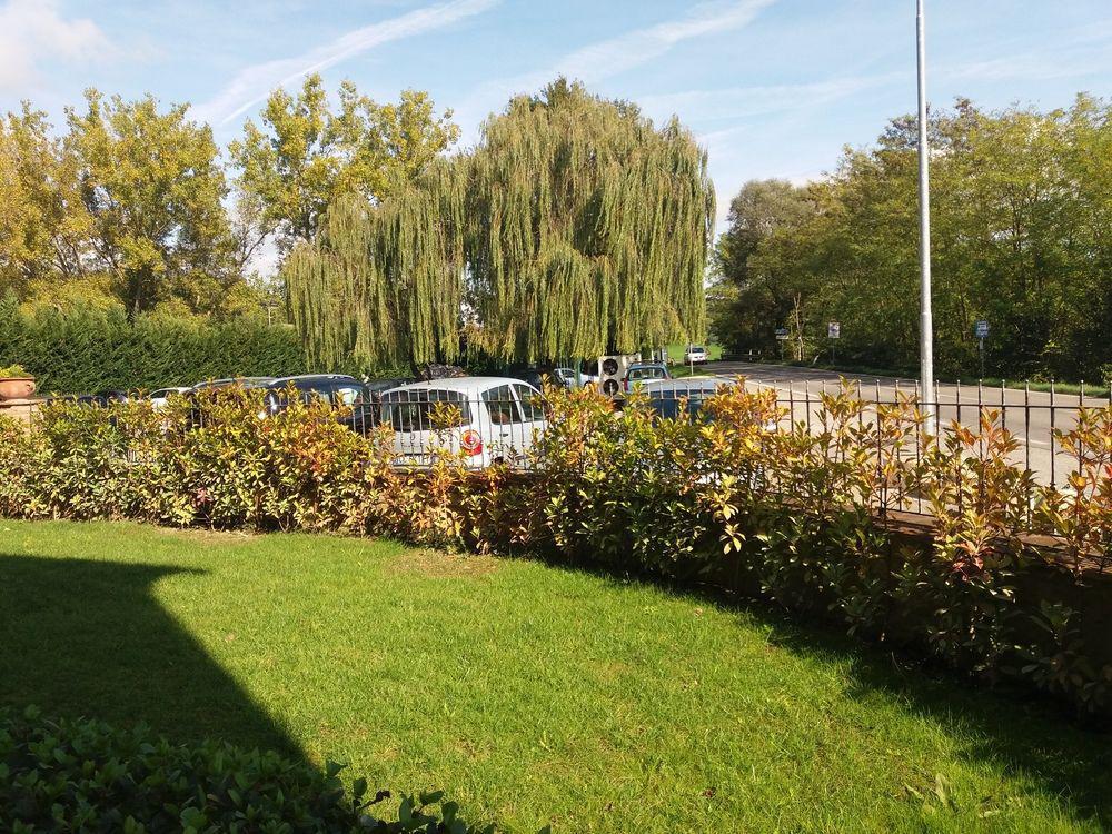 Oasi Del Grillo Aparthotel Castelnuovo Berardenga Exteriör bild
